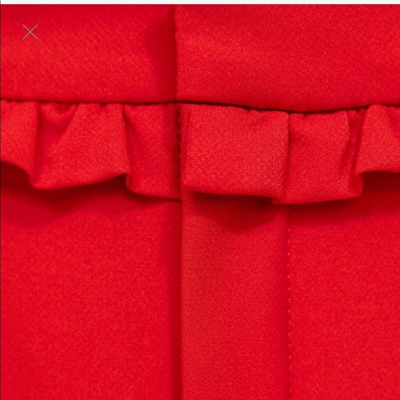 NWOT Zara Ruffled Waist Pants - Picture 3 of 4